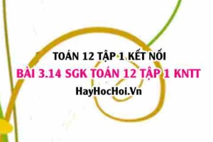 Bài 3.14 SGK Toán 12 tập 1 Kết nối tri thức